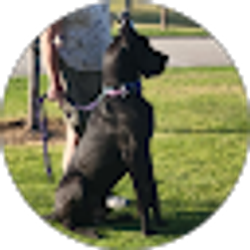 Profile photo of Marilyn Wilson