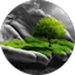Profile photo of Abu Sohel