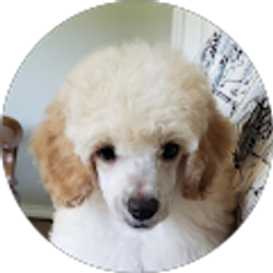 Profile photo of wuufit q10