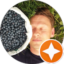 Profile photo of nick koveshnikov