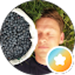 Profile photo of nick koveshnikov