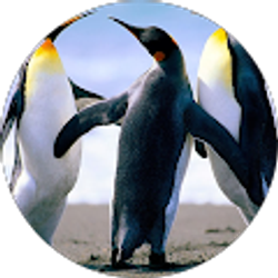 Profile photo of Hareesh K