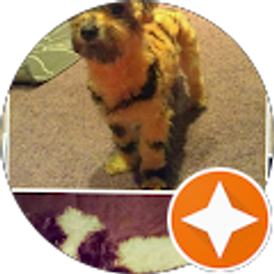 Profile photo of Angel Bonilla