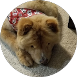 Profile photo of Annette Bohn