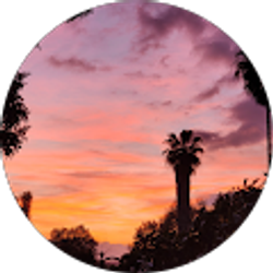 Profile photo of Amy B