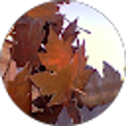 Profile photo of Sandy Merritt