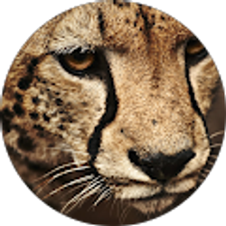 Profile photo of Derrick Brown