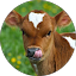 Profile photo of Joseph Gill