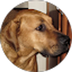 Profile photo of Kyle Taylor