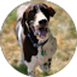 Profile photo of Henry Fundenberger