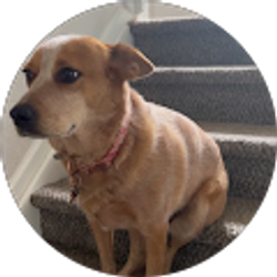 Profile photo of Alayna Settle