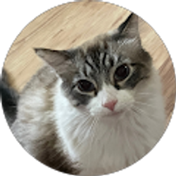 Profile photo of chris levering