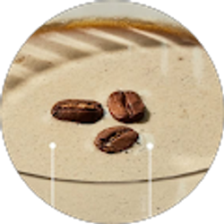 Profile photo of Demi