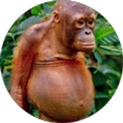 Profile photo of Husky McMonkeypants