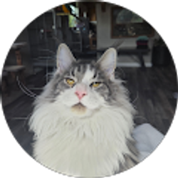 Profile photo of Tina Franklin