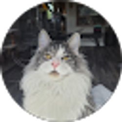 Profile photo of Tina Franklin