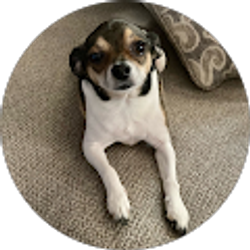 Profile photo of Carol