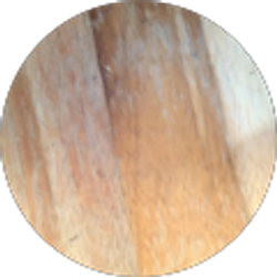 Profile photo of Jangho Lee