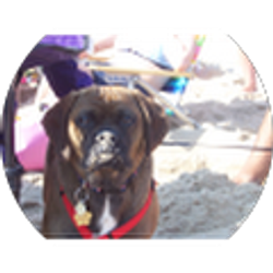 Profile photo of Trent Baker