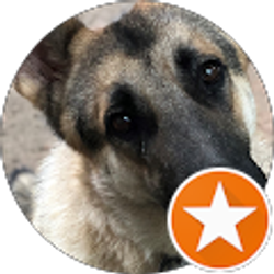 Profile photo of Janice Harris