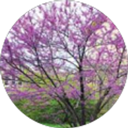 Profile photo of melinda Mcallister