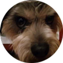 Profile photo of Robert Schnable