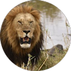 Profile photo of N*10*Z