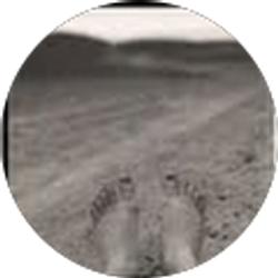 Profile photo of Todd Glaser