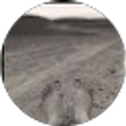 Profile photo of Todd Glaser