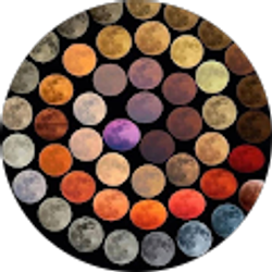 Profile photo of Nabeel Hamad