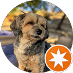 Profile photo of Sonu Nunez