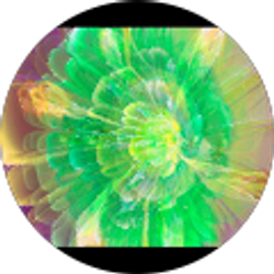 Profile photo of Camille Smith