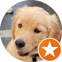 Profile photo of Abhi Y