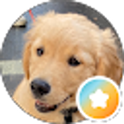 Profile photo of Abhi Y