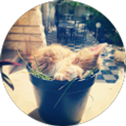 Profile photo of Arafat Alqawasmi