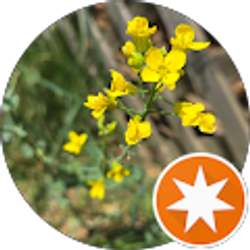 Profile photo of Anna Carr