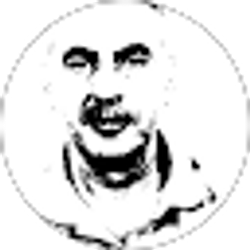 Profile photo of Mark Solomon