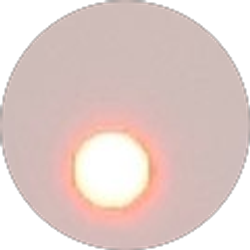 Profile photo of Carrene Phipps