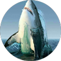 Profile photo of Holly Lynn