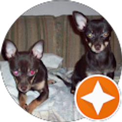 Profile photo of Norma Morales