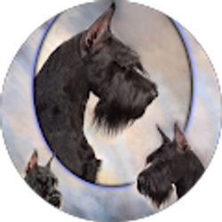 Profile photo of Beverly Murray