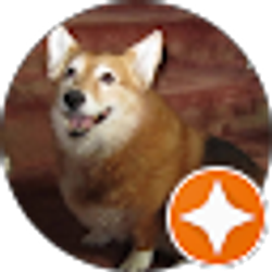 Profile photo of Roger Sprague