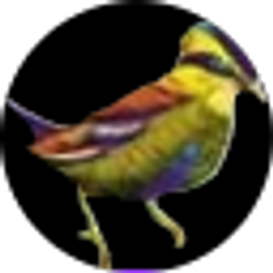 Profile photo of Tim Riess