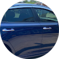 Profile photo of William Reed