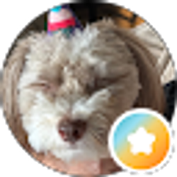 Profile photo of Duane Robidoux