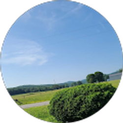 Profile photo of G M