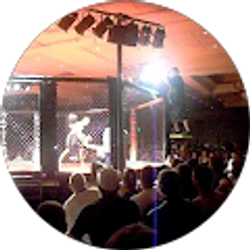 Profile photo of L. Churchfield