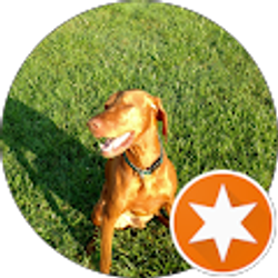 Profile photo of Sandbarjonny