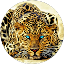 Profile photo of Janis Lyskawa