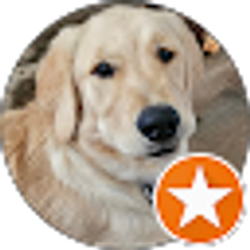 Profile photo of Bryan Leger